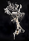 sculpture contemporaine arbre de pietso, charbon résine acrylique, Crachait la forêt Piet.sO 2018, art contemporain