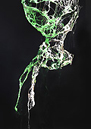 sculpture contemporaine résine acrylique,inverse arbre lapin renversé Piet.sO 2018 