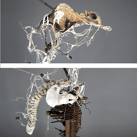 Piet.sO, structure  - contemporary sculpture about frame - skeleton - installation. acrylic resin.