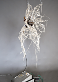 art science radionics for communicated with trees, Peter Keene et Piet.sO 2019 