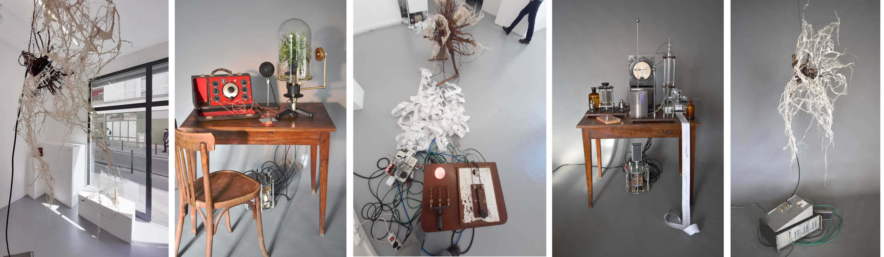 Peter Keene et Piet.sO - exposition a tree for two, sept 2019, galerie plateforme. appareillage bouclé de communication avec leur jardin du Puy de dôme par radionique, morse, oscillateur à ondes multiple, dictionnaire épars. Ici la souche du tilleul servant d'antenne